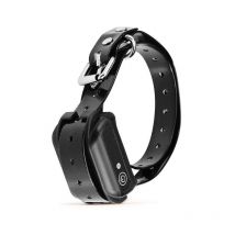 Collier de dressage électrique pour chiens, collier de choc électronique rechargeable et étanche IP68 avec modes de correction de choc statique tonal 
