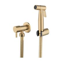 DPZO Pulvérisateur de toilettes pour bidet et de toilettes en acier inoxydable, Kit de pulvérisateur de bidet, pulvérisateur de robinetterie 