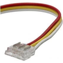 Jandei - Conector Tira-Tira con cable para tira led rgbic de 10mm. Led smd. 3 pines. 12V/24V. 5 unidades