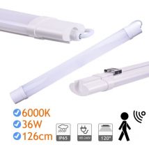 Jandei - Bande led étanche IP65 36W 118cm 6000K avec capteur Bande led