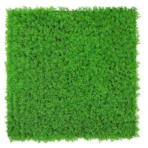 Modular Wall Akustik 3D Paneele 520 x 520 mm Bright Green Design Grass Kunst Pflanzwand Gräser - Jangal