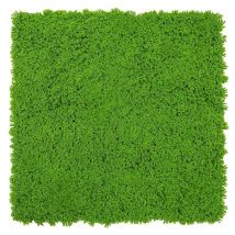 Modular Wall Akustik 3D Paneele 520 x 520 mm Lime Green Design Moos Kunst Pflanzwand Moospaneele - Jangal
