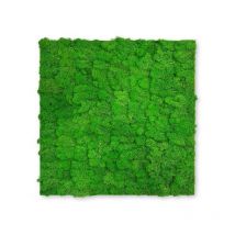 Jangal - Modular Wall Akustik 3D Paneele 520 x 520 mm Rich Green Moos Moos Pflanzenwand Paneele Echtmoos