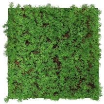 Modular Wall Akustik 3D Paneele 520 x 520 mm Thuja Tea Tree Kunst Pflanzwand Naturfaser - Jangal