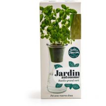 Jardin autonome - Basilic grand vert bio