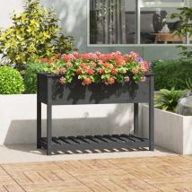 Lafomukea - Jardinière avec étagère Gris 111,5x54x81 cm Bois massif de pin