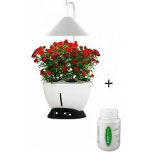 Jardinice - Jardinière avec lampe led intégrée Le potager avec engrais liquide + engrais 250 ml