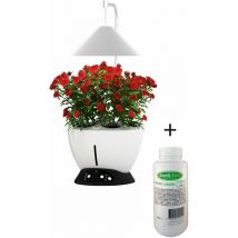 Jardinice - Jardinière avec lampe led intégrée Le potager avec engrais liquide + engrais 500 ml