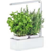 Jardinice - Jardinière avec lampe led intégrée Mini potager