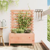 Lafomukea - Jardinière avec support 79x39,5x114 cm bois massif douglas