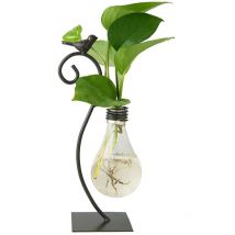 Jardinière en verre de bureau, Vase hydroponique, Support de terrarium pour plantes de chat, Conteneur Scindapsus