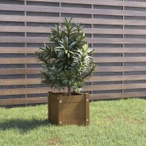 Lafomukea - Jardinière extérieur Marron miel 31x31x31 cm Bois de pin massif