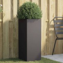 Lafomukea - Jardinière noir 32x29x75 cm acier