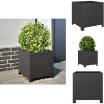 Vidaxl - Jardinière noir 40x40x40 cm acier - Jardinière - Jardinières - Planteur - Jardinière D'extérieur