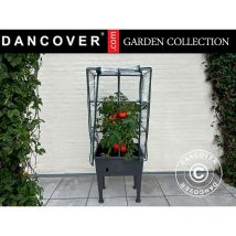Dancover - Jardinière/parterre de fleurs surélevés avec treillis,
