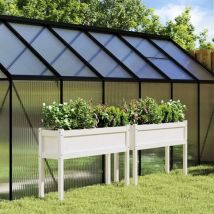 Lafomukea - Jardinières 2 pcs avec pieds blanc bois de pin massif