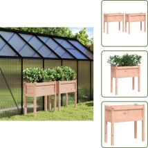 Jardinières 2 pcs avec pieds bois massif douglas - Jardinières En Bois - Jardinière Extérieure - Pot De Fleurs Extérieur - Décoration Jardin - Balcon