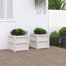 Lafomukea - Jardinières 2 pcs blanc bois de pin massif
