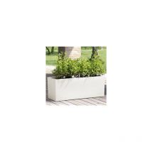 Teraplast - Jardinière Rectangulaire Blanc 79x30 cm h 30 mod. Schio Cassa