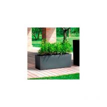 Jardinière Schio Box 80 Anthracite - 80 cm