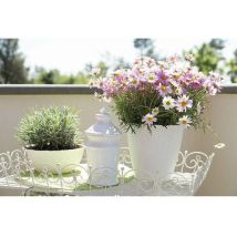 Bama - Jarrón de paja color crema D29 cm h 27 cm 34031 plantas flores