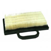 Filtre à air 310114 pour tondeuse autoportées avec moteur B&S