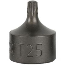 JBM 3/8" kurze TORX-Spitze T30 Werkzeug für Werkstatt und Haushalt 3 Jahre Garantie