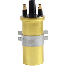 Rosvola - Jeffergarden CBE5030C, Bobine di accensione antiruggine da 12 v Standard oem DLB105 Diametro 2,2 pollici per auto