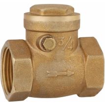 Jeffergarden Clapet anti-retour DN20 , 3/4BSP Filetage femelle Clapet anti-retour à battant en laiton , Clapet anti-retour unidirectionnel Clapet
