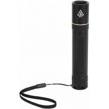 Shanbor Lampe de Poche Fluorescente de détection, Lampe de Poche led 5W 360NM, détection de Cire d'abeille Bijoux Chrysophoron pour la détection