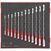 Tengtools - Jeu de clés mixtes à racagnac Foam2 tray 8- 19mm 12 pièces Teng Tools TED6512RS