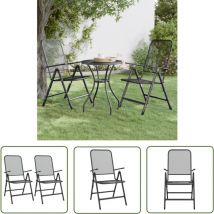 The Living Store Klappbare Gartenstühle 2 Stk. Streckgitter Anthrazit - Gartenstühle - Klappstühle - Outdoor Möbel - Balkonmöbel - Esszimmerstühle