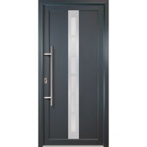 Signum PVC Model 38, innen: weiß, außen: titan, Breite: 108cm, Höhe: 200cm, Öffnungsrichtung: DIN links