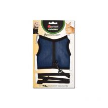 Joggen Von T.m Rabbit/ Huron