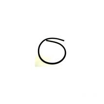 Joint de porte d'origine (1250295001) Sèche-linge arthur martin electrolux, faure, zanussi