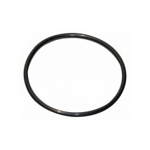 Joint torique 120.02x6.99-N - GEMINOX : 87185725380