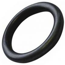 Joint torique (318392-54882) (500410147) Centrale vapeur Domena