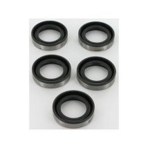 Briggs&stratton - Joints spi Briggs et Stratton - 4118