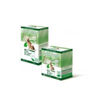 Joki Dent Cane Fresh Stripes Taglia Grande 140 g.