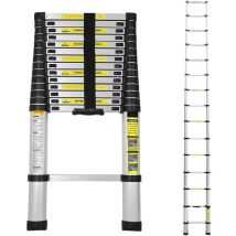 Scala telescopica fino a 150 kg Stabile scaletta multifunzione in alluminio 2,6 m - Jopassy