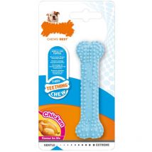 Nylabone - 73083239 : Jouet de dentition et de mastication flexible pour chiot, petit bleu
