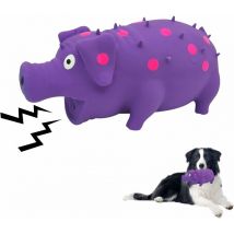 Sunxury - Jouet pour chien, jouet à mâcher en latex à pois avec son d'Oinks, jouets pour chien, jouets pour chien durables, auto-jouant, 8 pouces