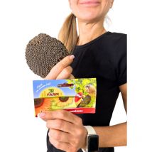 JR FARM Sonnenblume am Faden - ein gesunder Snack für alle Papageien 30g