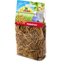 JR FARM Mehlwürmer - natürliches Protein für alle Papageien 25g