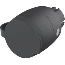 GAO - Juego de enchufes con mando a distancia: 2 interiores + 1 exterior