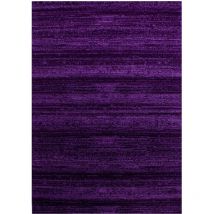 Plus - julia - Tapis Uni à dégradé (Violet - 200x290cm)
