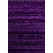 Plus - julia - Tapis Uni à dégradé (Violet - 80x300cm)