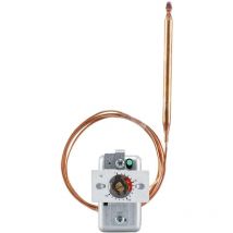 60000924 Déclencheur thermique 0 à 150 °c R569891 - Jumo