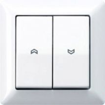 Jung - 1 parte Frutto Pulsanti Bianco alpino AS590-5PWW 1 pz.