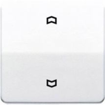 1 parte Placca di copertura Frecce con simboli Bianco alpino CD590PWW 1 pz. - Jung
